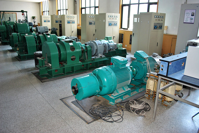 排湖风景区某热电厂使用我厂的YKK高压电机提供动力一年质保